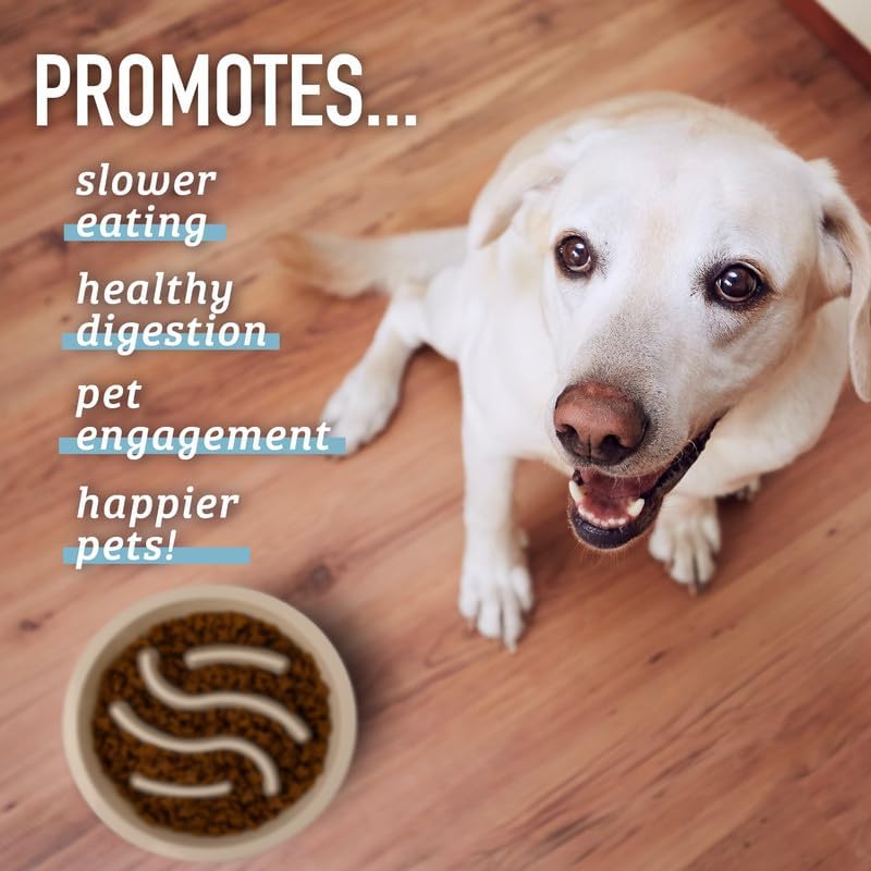 Dog Bowl – Maze Puzzle Bowl That Stops Gulping & Bloat