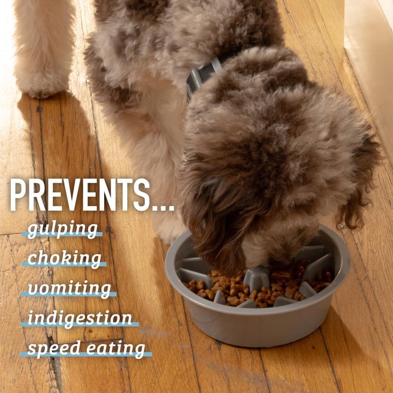 Dog Bowl – Maze Puzzle Bowl That Stops Gulping & Bloat