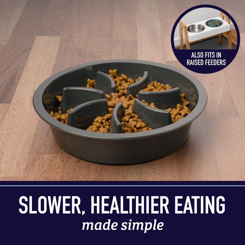 Dog Bowl – Maze Puzzle Bowl That Stops Gulping & Bloat